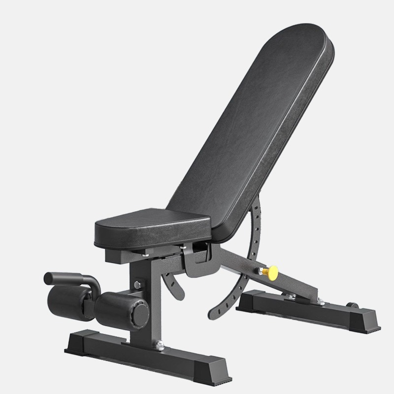 Black Fitness Bench Exercise E - Adjustable Dumbbells 评论和价格