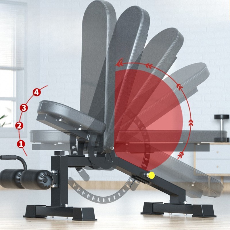 Black Fitness Bench Exercise E - Adjustable Dumbbells 评论和价格