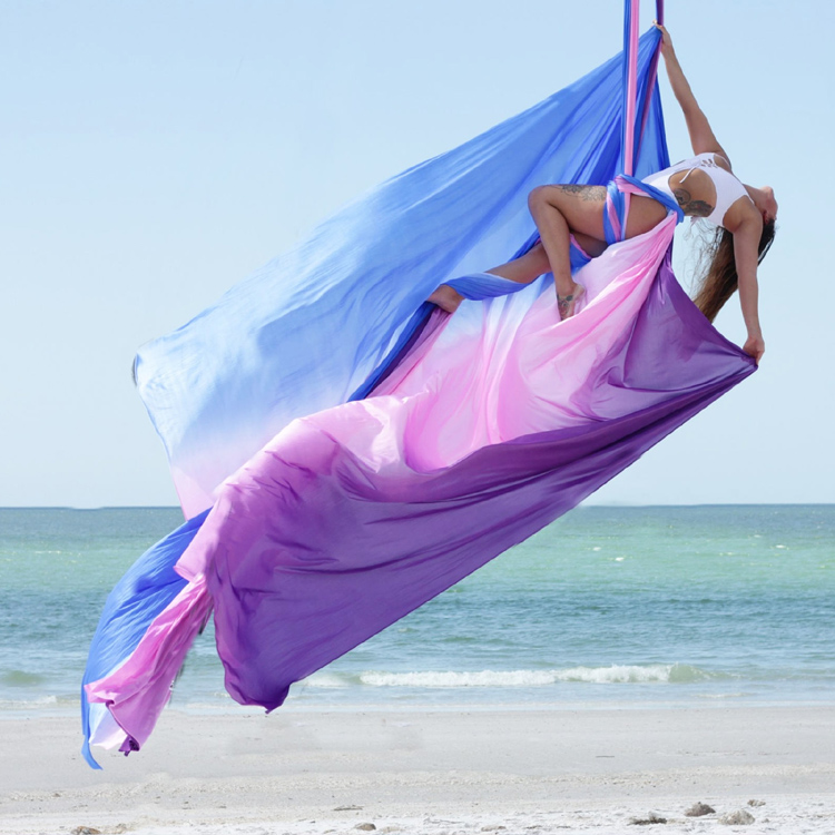 Aerial Yoga Swing, Durable Nyl - Yoga Fitness Studio 评论和价格
