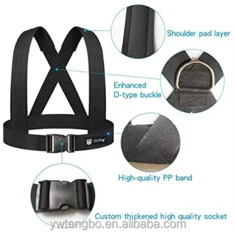 Dual Resistance Latex Pull Rop - Resistance Bands 评论和价格